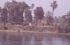 Aegypten-92-106-Luxor
