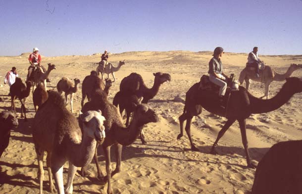 Libysche Wüste, Ägypten