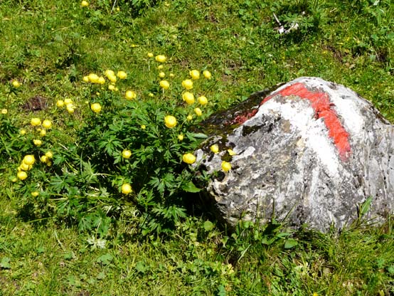Baerentrek-018-Kaltenbrunnen-Grindelwald