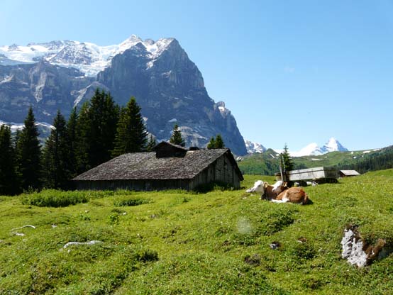 Baerentrek-019-Kaltenbrunnen-Grindelwald