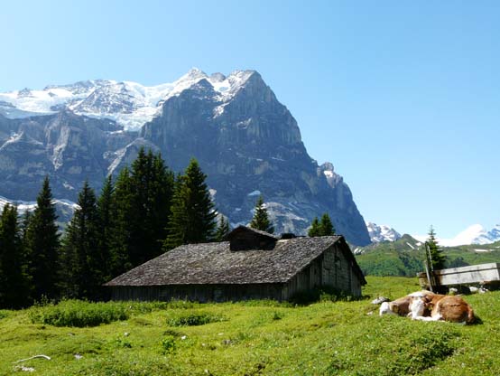 Baerentrek-020-Kaltenbrunnen-Grindelwald
