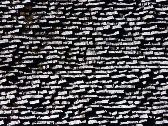 Baerentrek-093-Grindelwald-Stechelberg