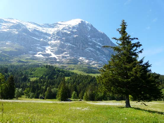 Baerentrek-096-Grindelwald-Stechelberg