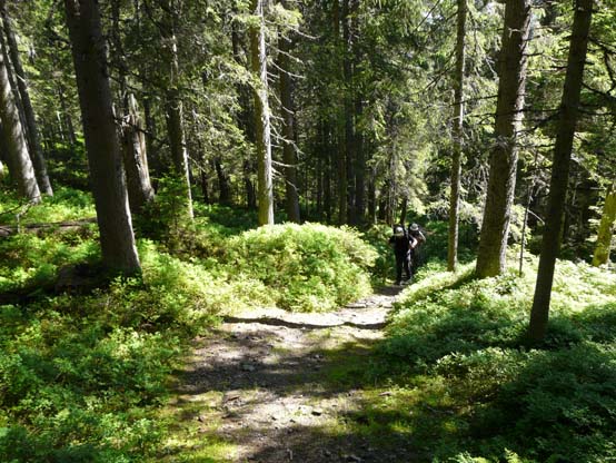 Baerentrek-102-Grindelwald-Stechelberg