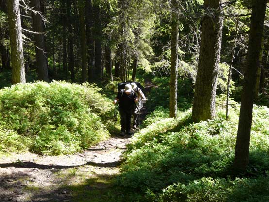 Baerentrek-103-Grindelwald-Stechelberg