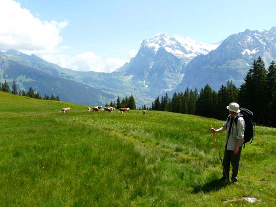 Bärentrek, Grindelwald, Schweiz