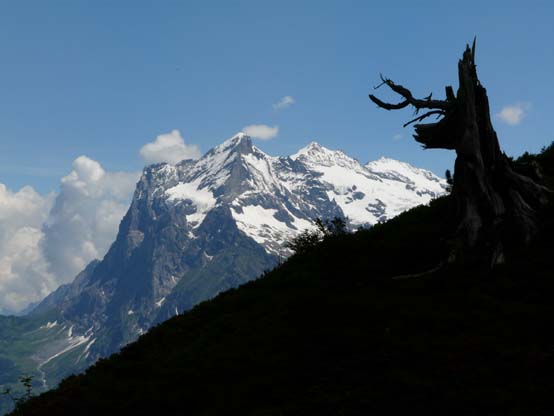 Baerentrek-125-Grindelwald-Stechelberg