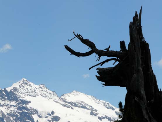 Baerentrek-126-Grindelwald-Stechelberg