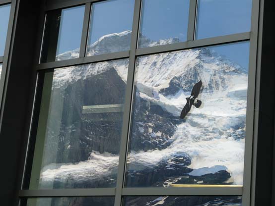 Baerentrek-148-Grindelwald-Stechelberg