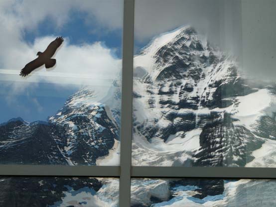 Baerentrek-151-Grindelwald-Stechelberg