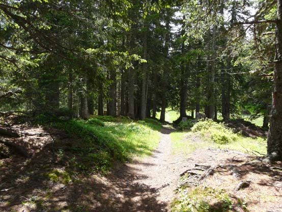 Baerentrek-159-Grindelwald-Stechelberg