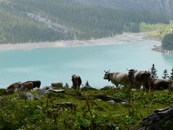 Baerentrek-366-Gspaltenhornhuette-Oeschinensee