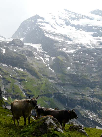 Baerentrek-369-Gspaltenhornhuette-Oeschinensee