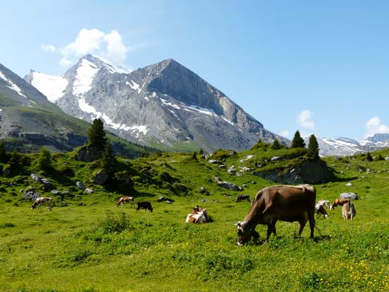 Baerentrek-402-Oeschinensee-Engstligenalp