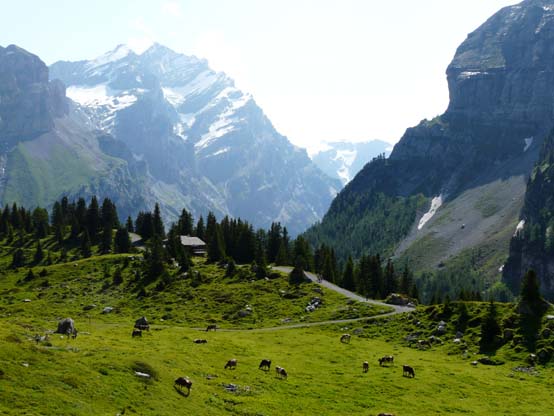 Baerentrek-405-Oeschinensee-Engstligenalp