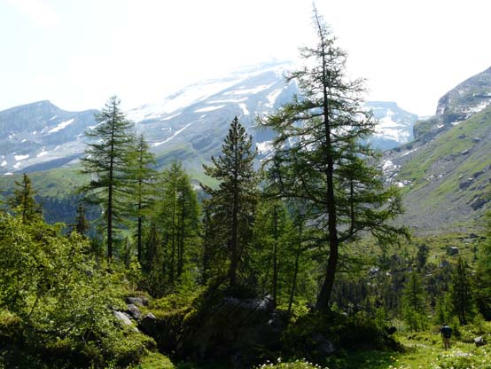 Baerentrek-415-Oeschinensee-Engstligenalp