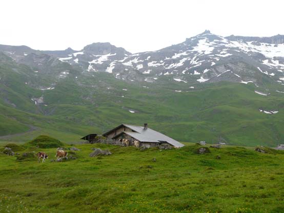 Baerentrek-490-Oeschinensee-Engstligenalp