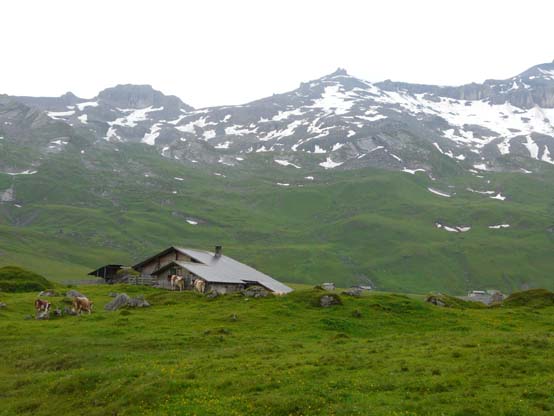 Baerentrek-491-Oeschinensee-Engstligenalp