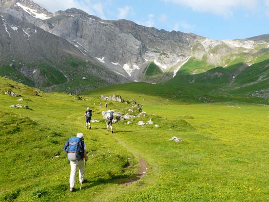 Baerentrek-503-Engstligenalp-Simmenfaelle