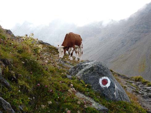 Grossvenediger_080831_179