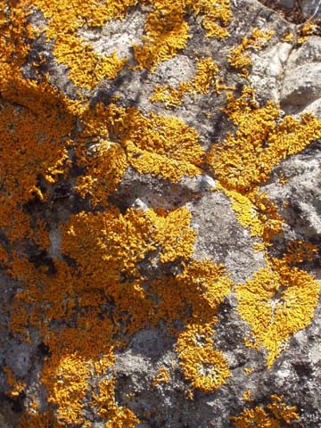 Klettern-Mindelheimer-Huette-143