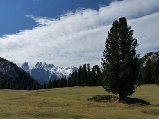 364-Plaetzwiese-Wildsee