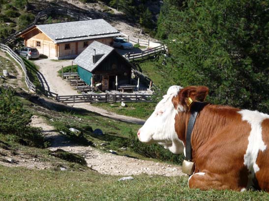 373-Plaetzwiese-Wildsee