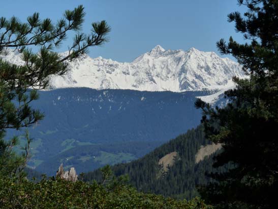 374-Plaetzwiese-Wildsee