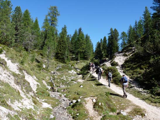 377-Plaetzwiese-Wildsee