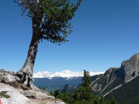 380-Plaetzwiese-Wildsee