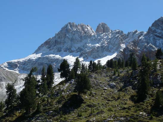 481-Plaetzwiese-Wildsee