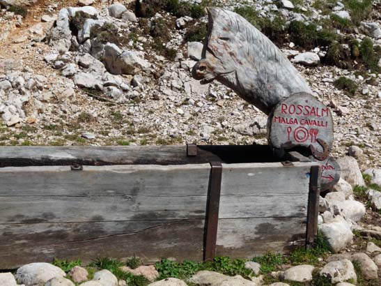 497-Plaetzwiese-Wildsee