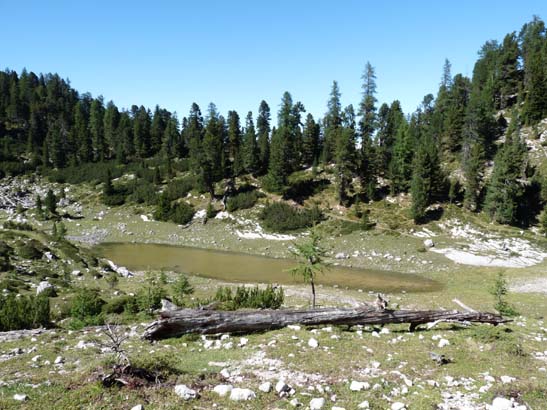 513-Plaetzwiese-Wildsee