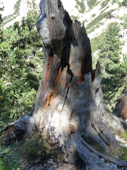 531-Plaetzwiese-Wildsee