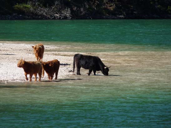 542-Plaetzwiese-Wildsee