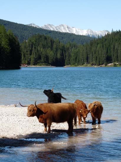 548-Plaetzwiese-Wildsee