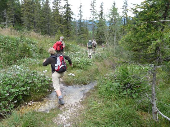 700-Weisslahnscharte