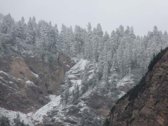 231-Wildsee-Schmieden