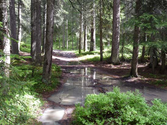 265-Wildsee-Schmieden