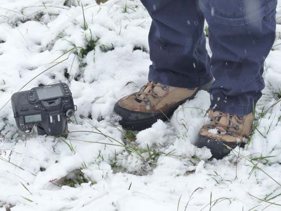100723-Silvretta-528