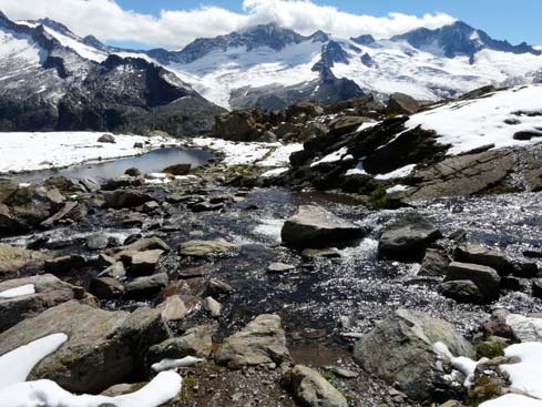 Zillertaler_Alpen_080817_115