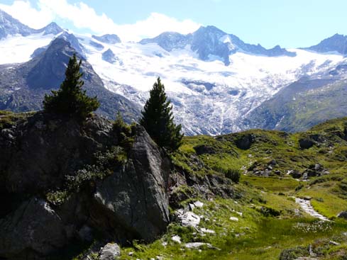 Zillertaler_Alpen_080817_124