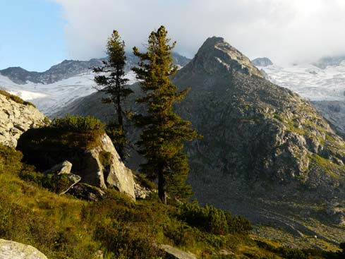 Zillertaler_Alpen_080817_207