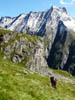 Zillertaler_Alpen_080817_061