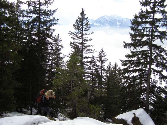 071028 Lausberg Signalkopf PA285028