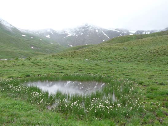100723-Silvretta-434