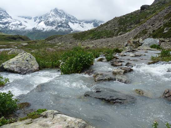 100723-Silvretta-481