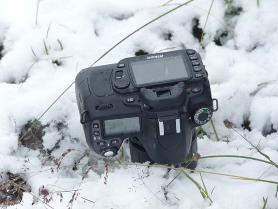 100723-Silvretta-529