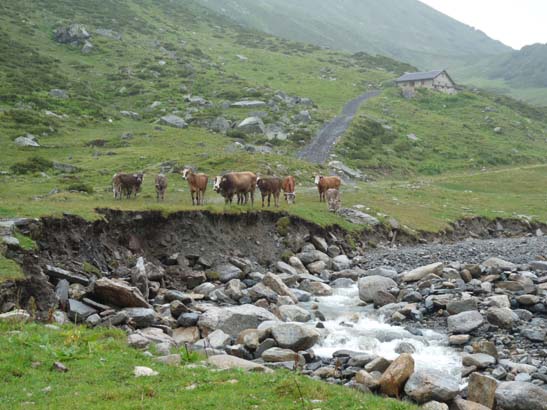 100723-Silvretta-538