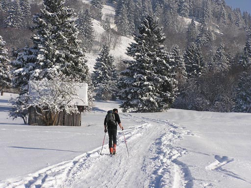 0601_Bayerische_Alpen 003